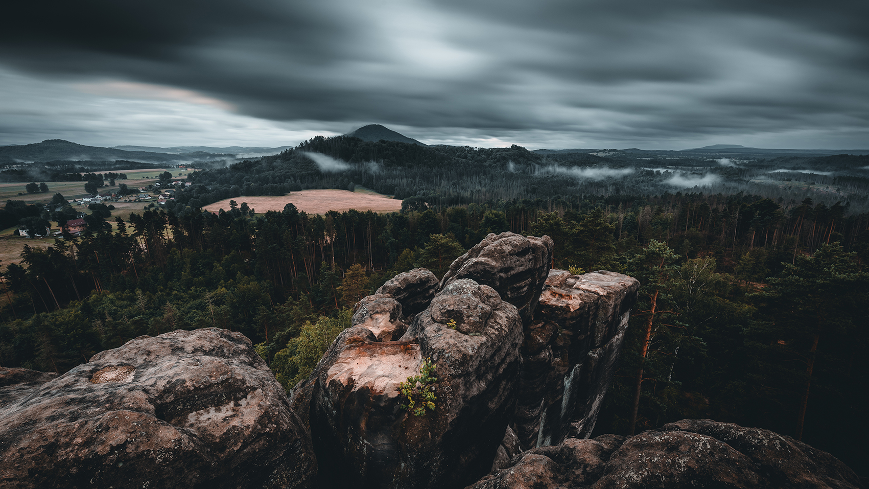 nebel nach dem Regen