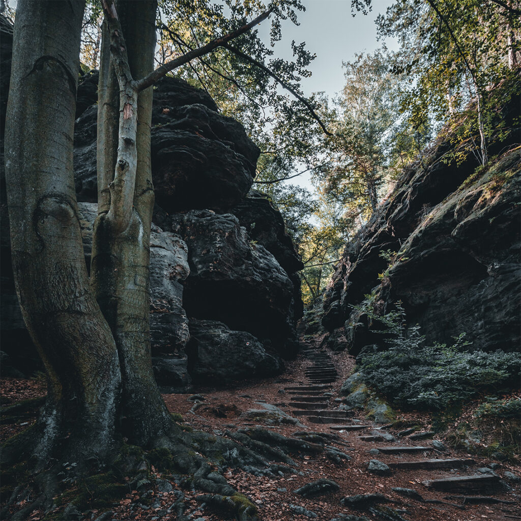 Wanderwege in der Sächsischen Schweiz