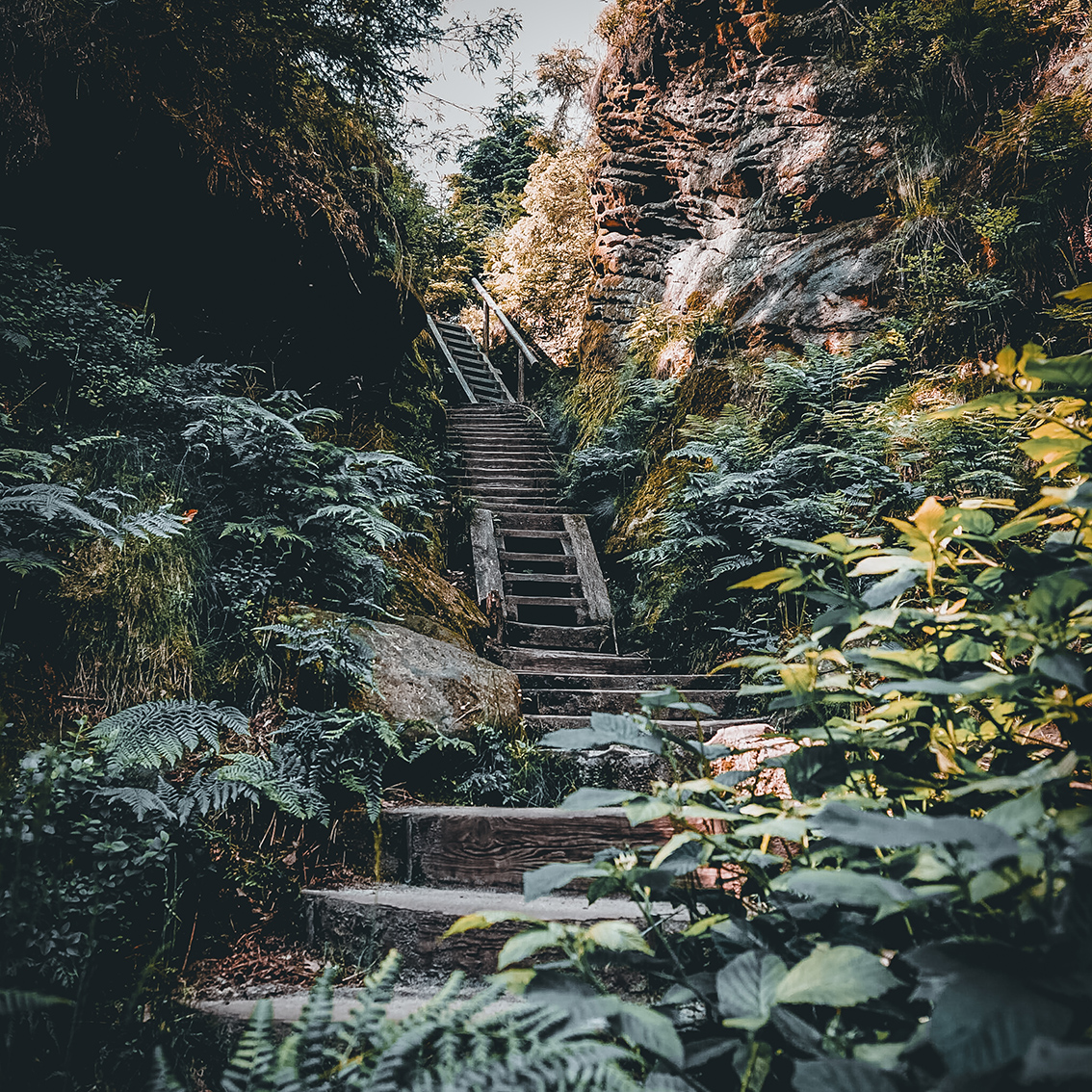 Abstieg an der Heiligen Stiege - Herausforderungen und Trittsicherheit