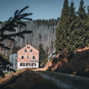 01__kirnitzschtour__niedermühle_Galerie