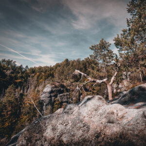 Enge Stiege/Úzké schody