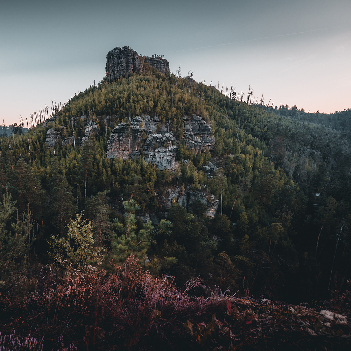 Felsenburg Falkenstein/Hrad Falkenštejn