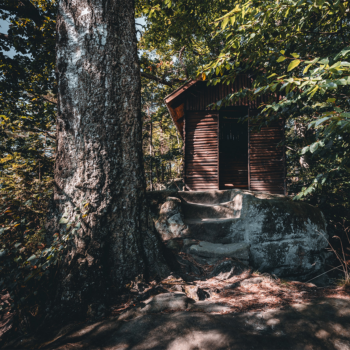 kirnitzschtal_galerie15