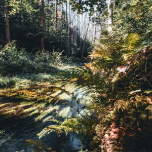 kirnitzschtal_galerie20