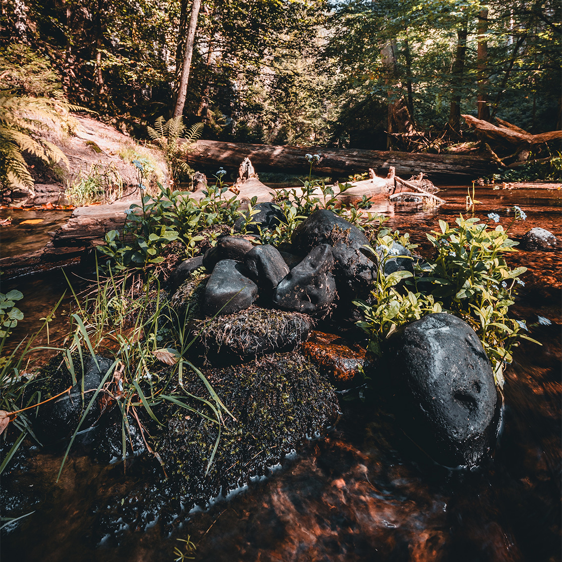 kirnitzschtal_galerie24