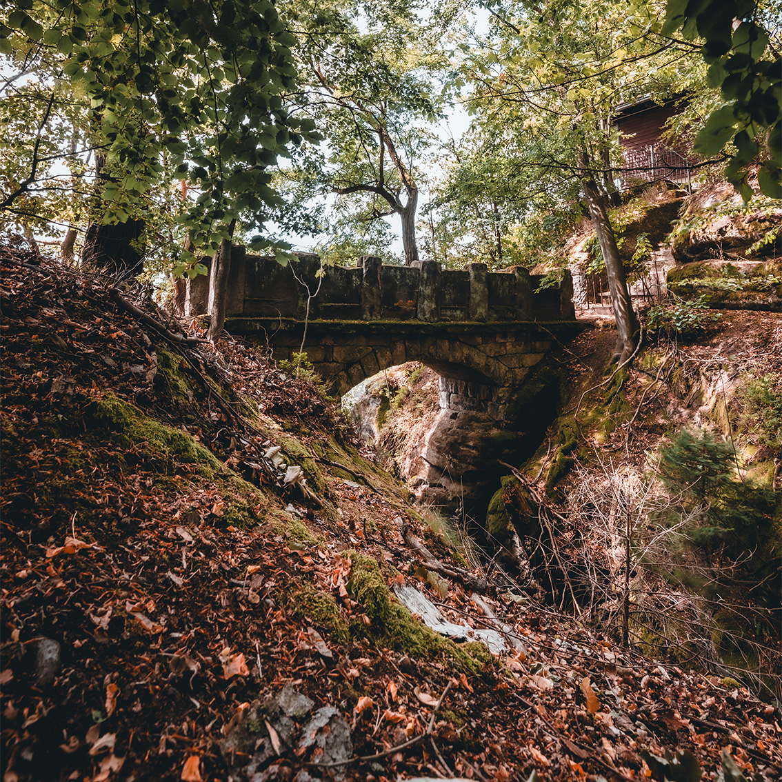 brandbaude_bruecke__web