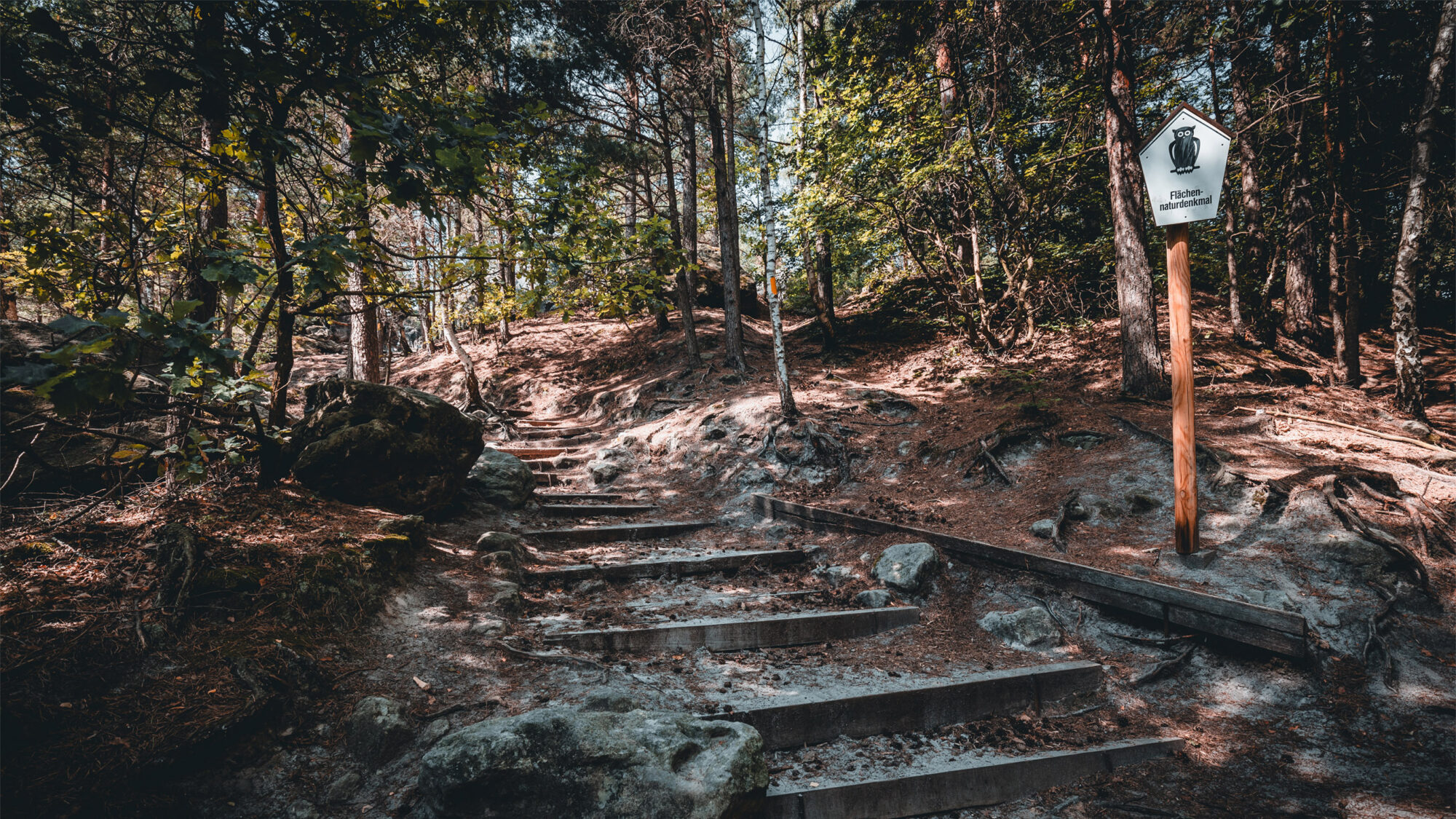 Wanderweg an einem Flächennaturdenkmal