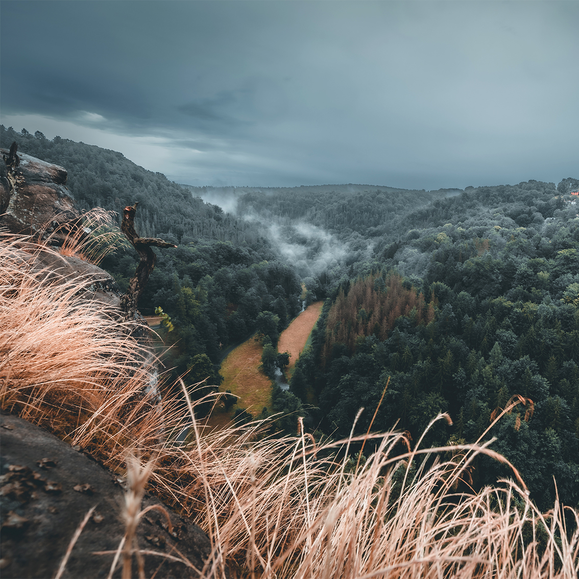 hocksteinaussicht_ins tal