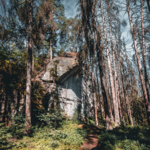 kl_kuhstall02_weg__web