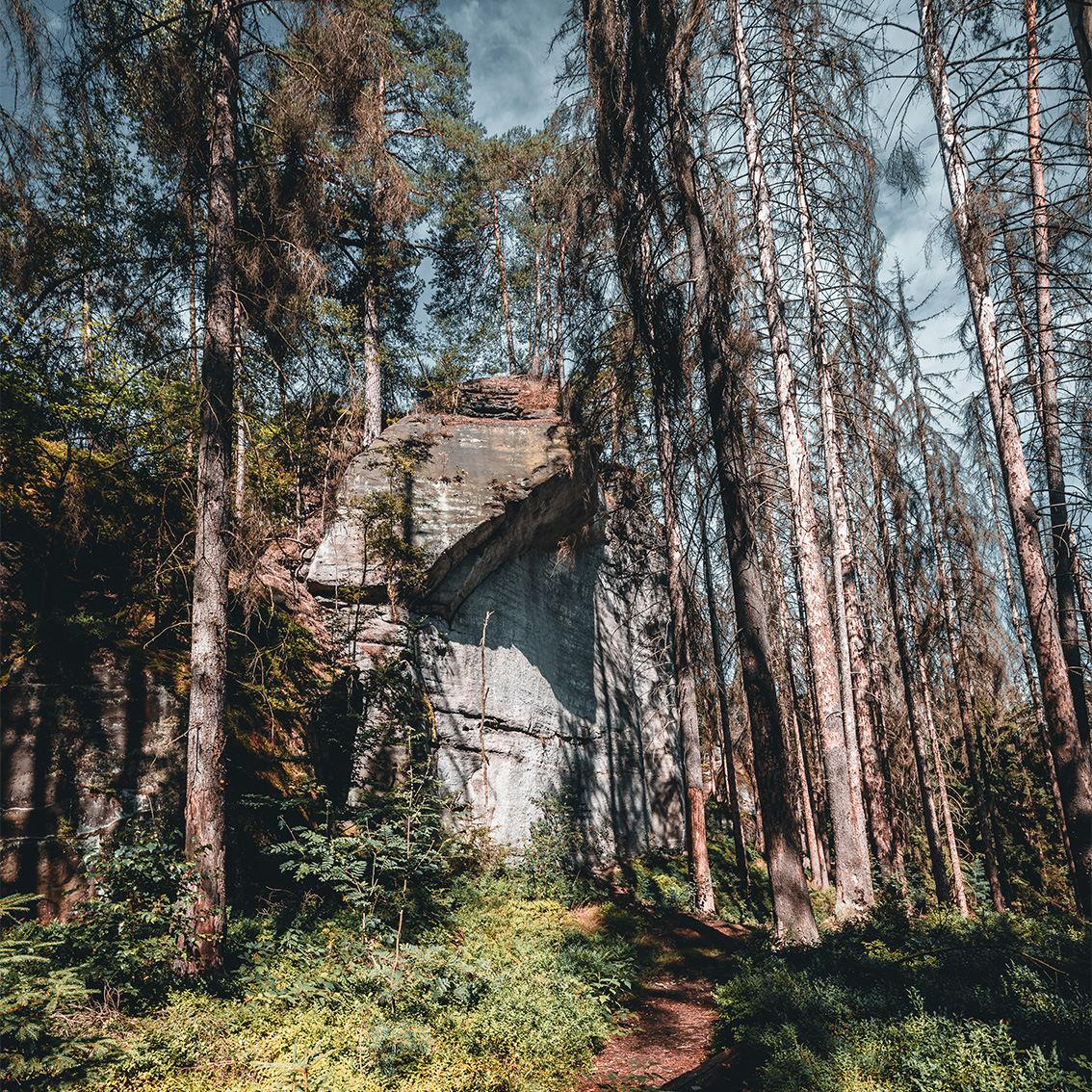 kl_kuhstall02_weg__web