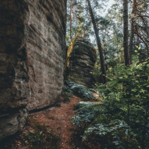 kl_kuhstall_weg__web