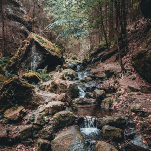 Galerie__Gelobtbacht00