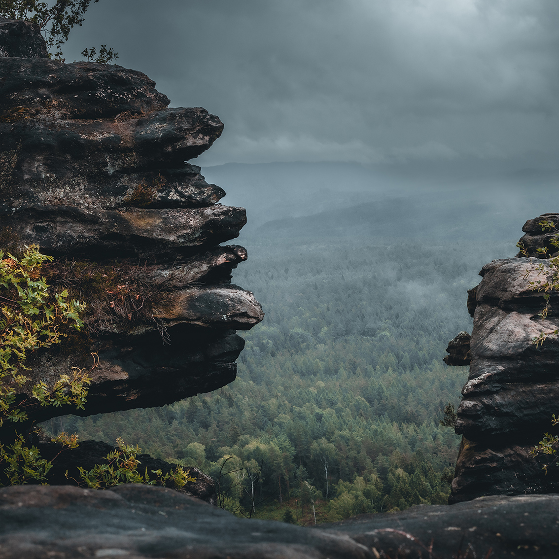 galerie_zschinr04-01