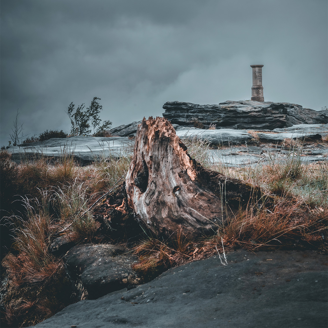 galerie_zschinr04_2__