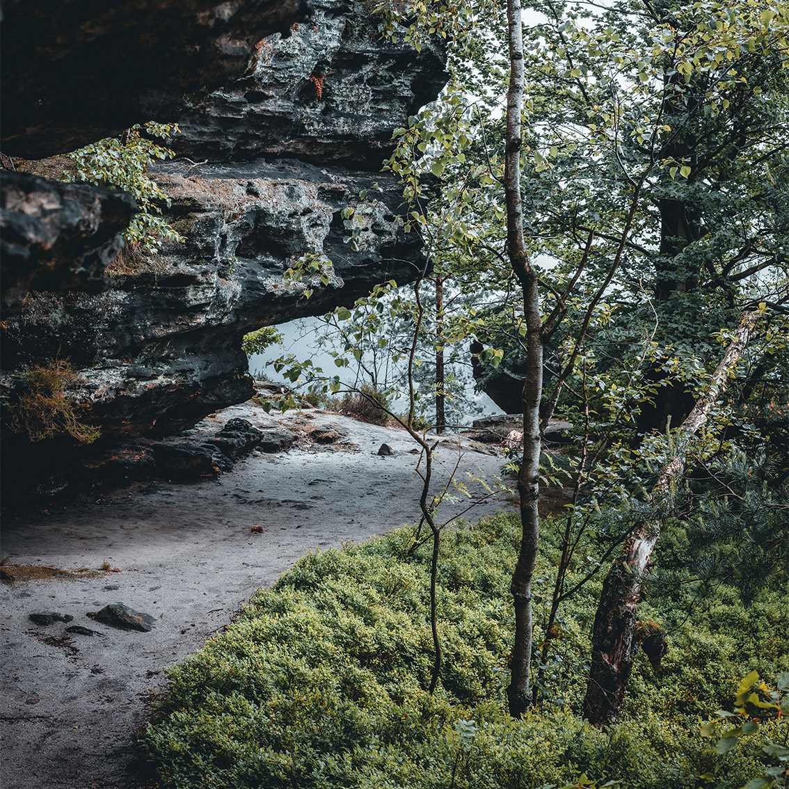 galerie_zschinr05__abw