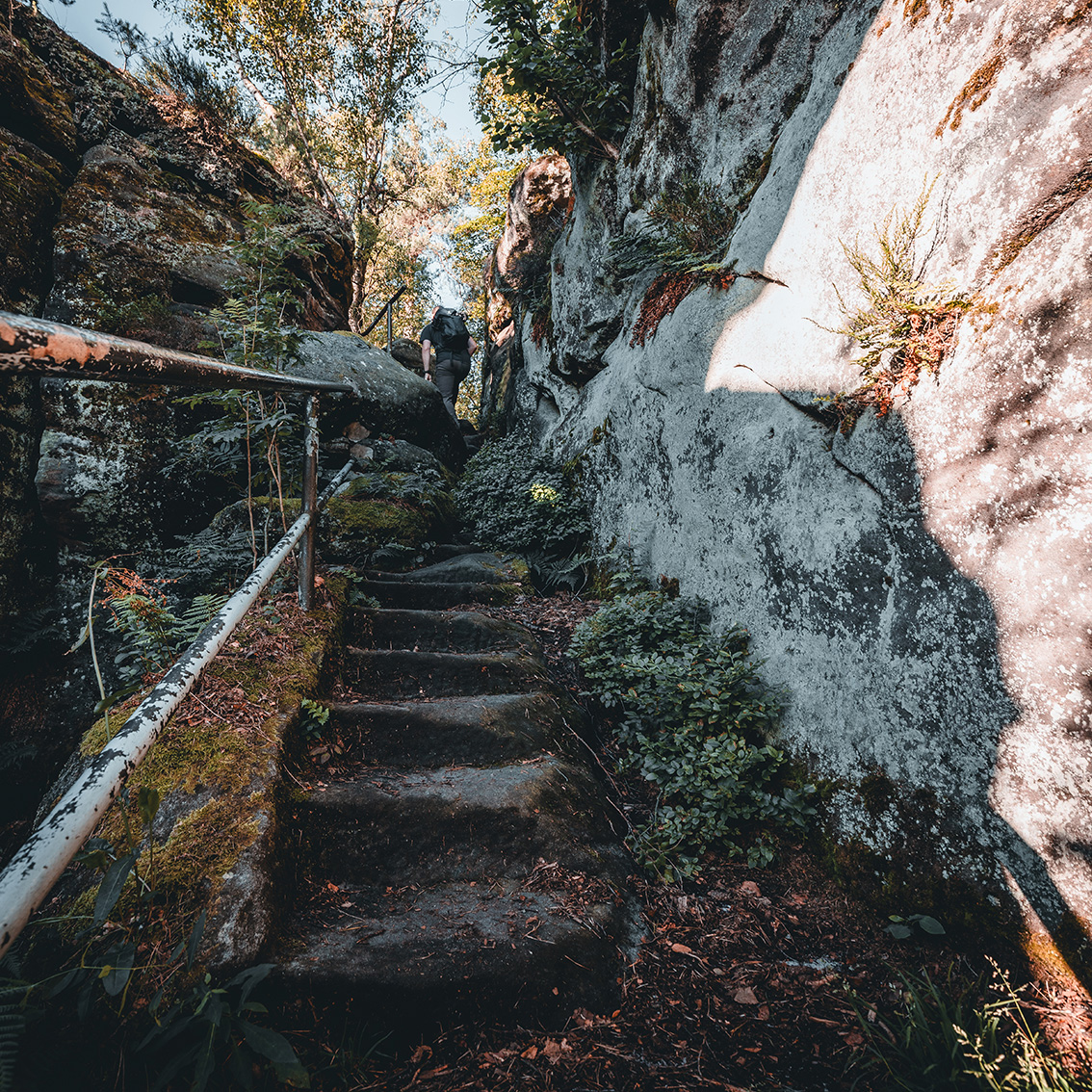 pfaffensteintour_aufstieg_goldsteinh