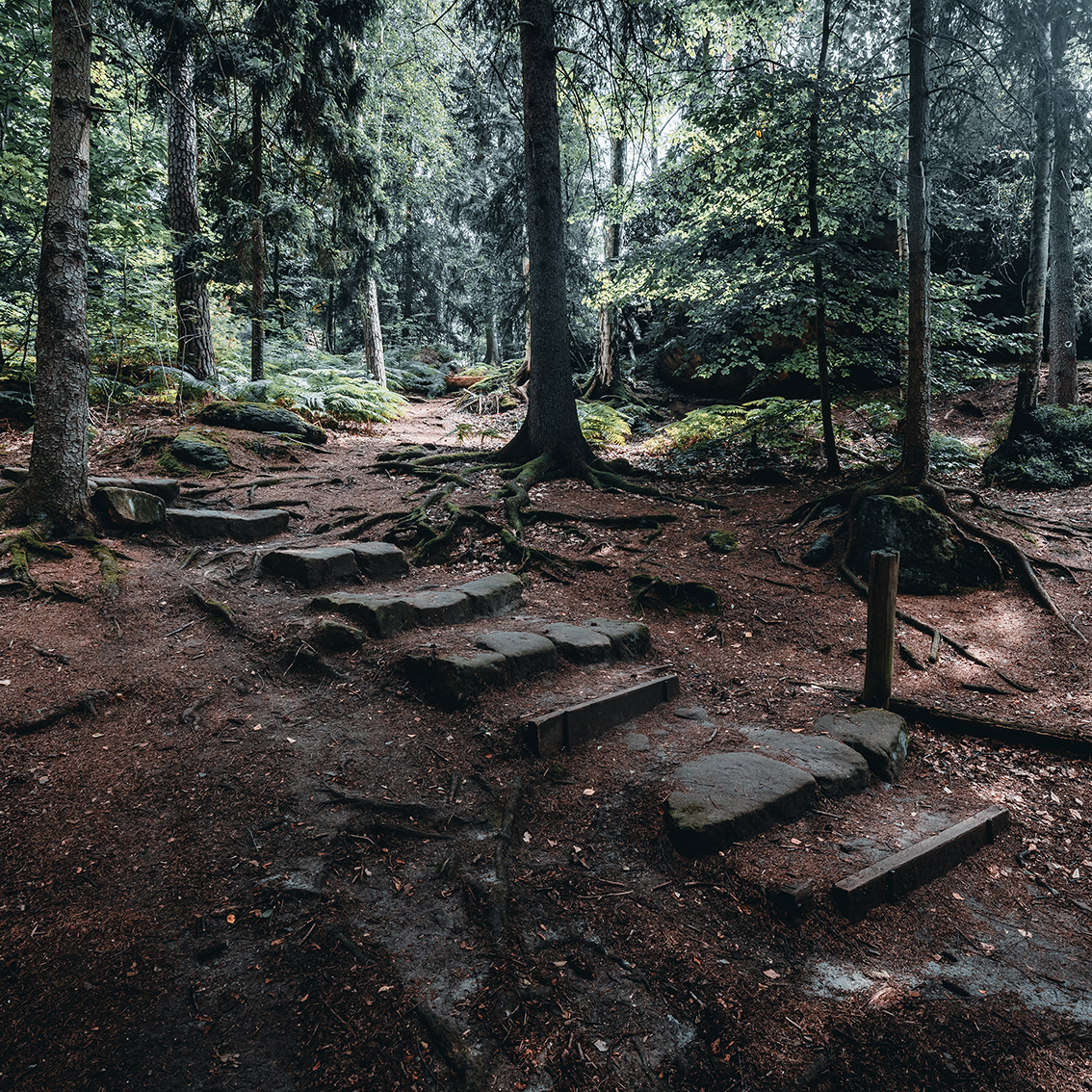 pfaffensteintour_klammweg