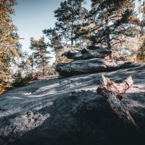 pfaffensteintour_rittersitz