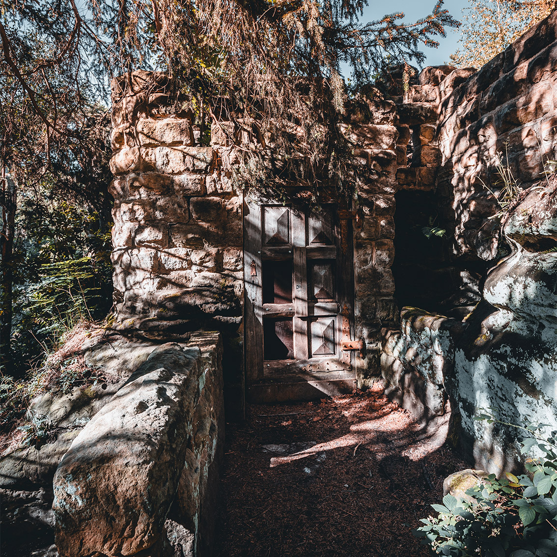 pfaffensteintour_ruine