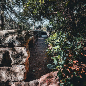 pfaffensteintour_ruine_gang