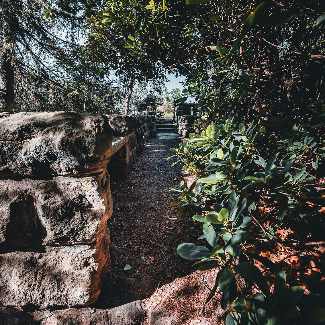 pfaffensteintour_ruine_gang