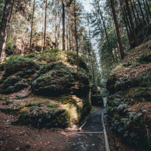 _MG_0446__waanderweg