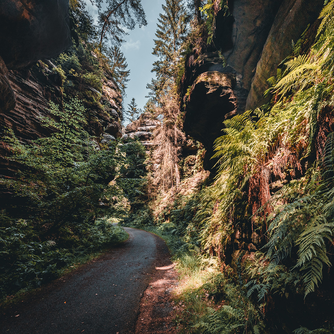 _MG_0462__felsenwege